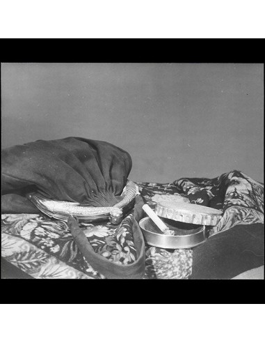 Line Vautrin - Sac aux Poissons et Cendrier Rebus, photographie de Crespi (1947) online